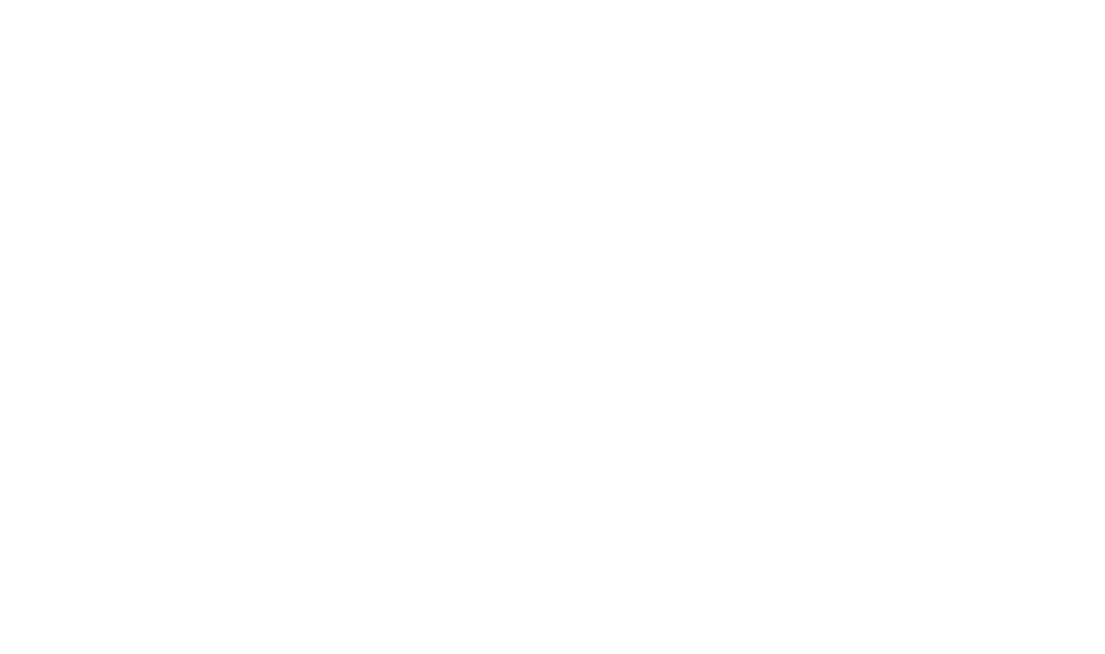 Bottom Line — Audit, Finance & Consultancy Firm